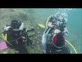 Immersioni di fine corso sub Open Water Diver - Diving Line ASD
