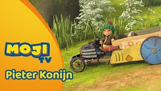 Wipstaarts Feestje Pieter Konijn Nederlandse Kinderseries Mojitv