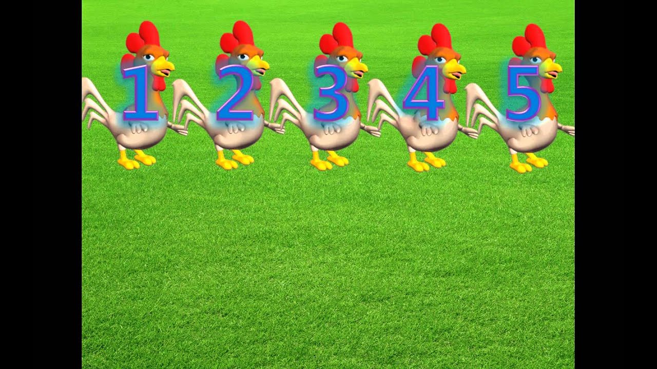 Counting 1 -10 with Dancing Chickens