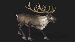 Reindeer - UNREAL ENGINE 5