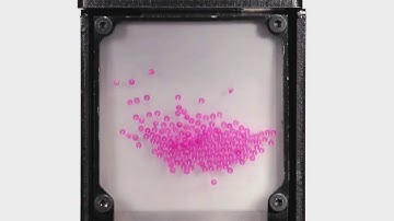 Asycube 80 vibrations with different plates