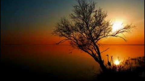 سورة البروج بصوت ماهر المعيقلي - أترك لكم التعليق !! -