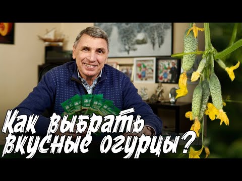 КАК ВЫБРАТЬ ВКУСНЫЙ И СЛАДКИЙ ОГУРЕЦ? САМЫЕ ЛУЧШИЕ ОГУРЦЫ! РАННЕСПЕЛЫЕ, УРОЖАЙНЫЕ СЕМЕНА ОГУРЦОВ