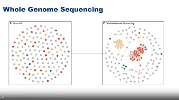 WEBINAR - Real-time Whole Genome Sequencing Surveillance for Healthcare Outbreak Detection and...