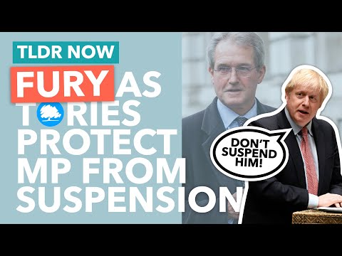 Owen Paterson Scandal Explained - TLDR News