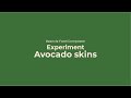 Reencle Food Composter_Experiment(Avocado skins)