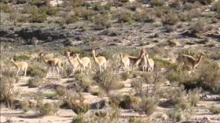 Video thumbnail of "QUIERO VOLVER A JUJUY por Hugo Chagra y Los de Jujuy"