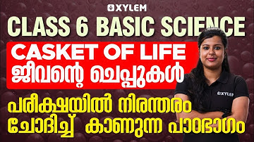 Class 6 Basic Science | Chapter 1 - Caskets of Life - ജീവന്റെ ചെപ്പുകൾ | Xylem Class 6