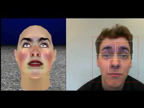 Replication of facial expressions using Viola-Jones