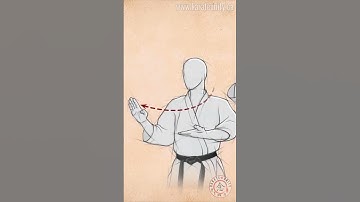 Shuto Uke Knife Hand Application #shorts #karate #martialarts