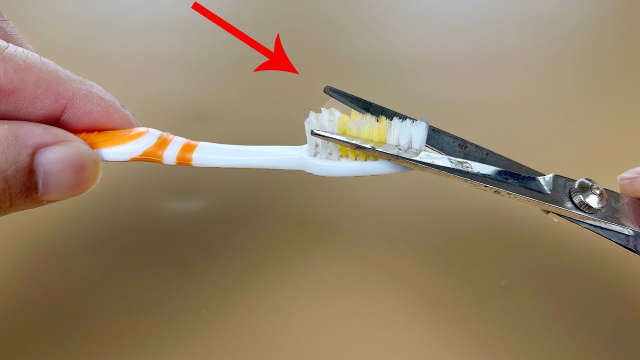 把牙刷毛剪短一半，放厨房和卫生间，原来还有这样的妙作用，厉害了