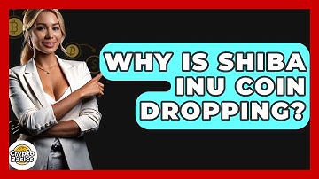 Why Is Shiba Inu Coin Dropping? - CryptoBasics360.com