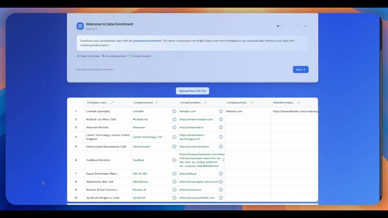Data Enrichment Agent