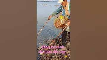 cao thủ xiệt lươn mà mùa nước lũ