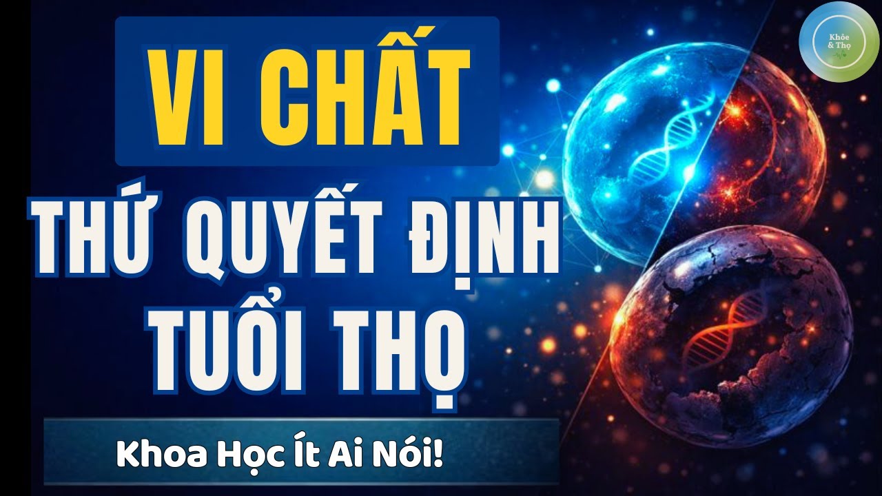 THỨ QUYẾT ĐỊNH TUỔI THỌ | Vi chất dinh dưỡng và nền tảng sức khoẻ từ cấp độ tế bào