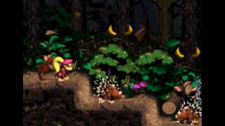 Donkey Kong Country 2 - (5-3) - Gusty Glade