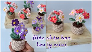 #114 How To Crochet Mini Flower Pots With Wool | Móc Chậu Hoa Lưu Ly Mini | Dương Liễu Handmade
