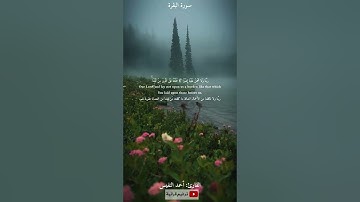 لا يكلف الله نفسا الإ وسعها القارئ أحمد النفيس