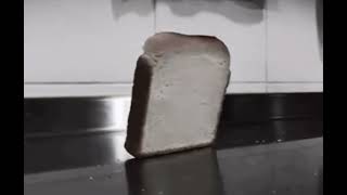 Bread Falling Over But Sad #meme #sad #funny #shorts