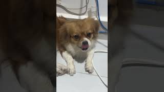 Full Video Below 24, 2026