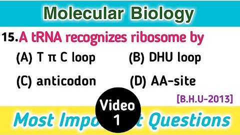 molecular biology || genetics and molecular biology mcq || Part 1