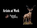 Animal artistry  artists at work