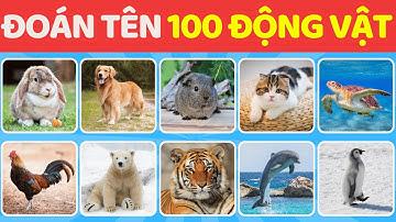 Đoán 100 Con Vật Trong 5 Giây Từ Dễ Đến Khó 🐶🐱🐹 | BuBo Quiz