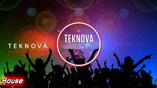 Teknova - Dragostea Din Tei 2K19 (Original Mix) (Bass Boosted)