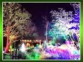 Winter light festival.Lafcadio Hearn Japanese Gardens.Японский Сад. Фестиваль света