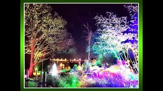 Winter light festival.Lafcadio Hearn Japanese Gardens.Японский Сад. Фестиваль света