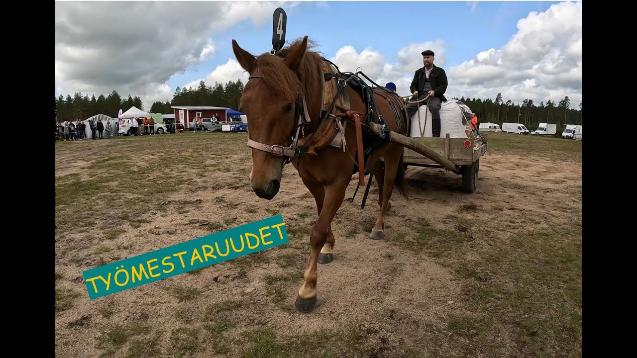 Työmestaruus 2025 Miehikkälässä