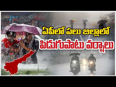 Heavy Rains In AP | Weather Updates | ఏపీలో పలు జిల్లాలో  పిడుగుపాటు వర్షాలు | ZEE Telugu News - ZEE24TELUGUNEWS