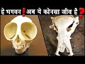 सामान्य जानवर जिनके कंकाल ALIEN जैसे लगते है Worst Animal Skeletons in the World