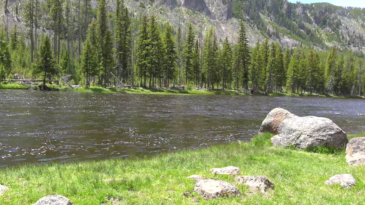 MADISON RIVER - YELLOWSTONE NATIONAL PARK 6K MADISON RIVER - YELLOWSTONE NATIONAL PARK 6K