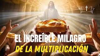 Cómo Jesús Alimentó a 5.000 personas con el milagro de la multiplicación.