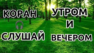 Когда читается Коран, то слушайте его и храните молчание, – быть может, вас помилуют.