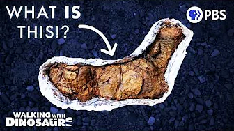 This Bizarre Fossil Reveals SO Much About Dinosaurs 🦖