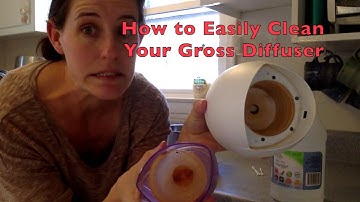 Easily Clean Your Gross Diffuser