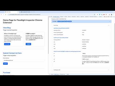 Floodlight Inspector video preview 2