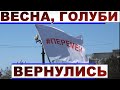 В Хабаровске открылся второй сезон митингов