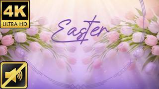 Easter Floral Screensaver - 3 Hour Loop - Pastel Spring Flower Background | No Audio - 4K