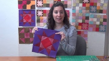 Amish with a Twist II: Blocks #5 & #6 for Month 3