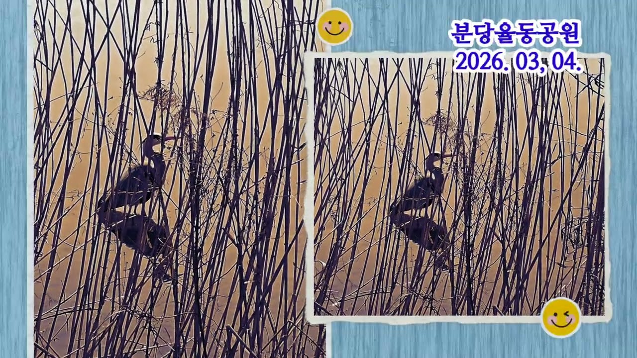 아드린느을 위한 발라드-분당 율동공원에서