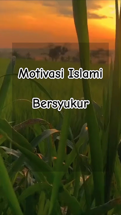 Pentingnya Bersyukur #bersyukur #nikmatbertambah #motivasiislami #shorts