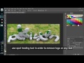 how to remove logo in photoshop