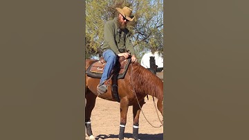 You might like this one.... #reining #reiningmasterclass #horsetrainingtips