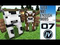 Just Not Enough Mods - Ep 7 - Energized Easy Animal Collection