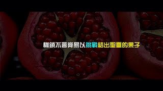 2012榮耀盼望 Vol.450 枷鎖不會降易以挑戰結出聖靈的果子
