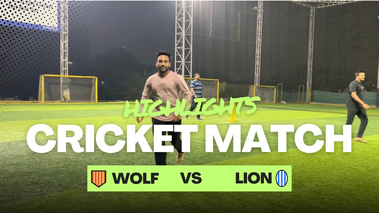 Wolf vs lion cricket match #cricket #cricketmatch 