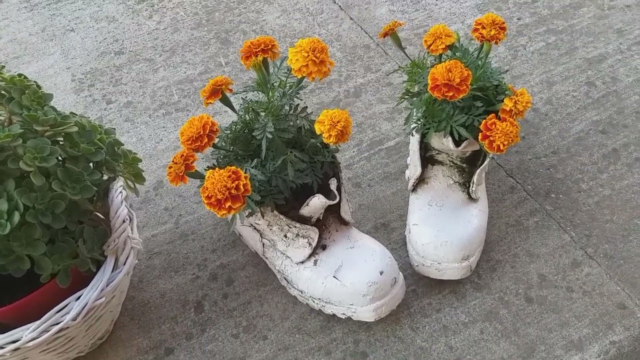 Malina i Zoran Trailović Viteževo Bulinjak - Najlepše dvorište.